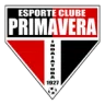 Primavera SP
