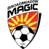 Broadmeadow Magic
