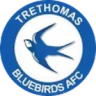 Trethomas Bluebirds