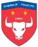 Cheadle Town