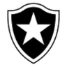 Botafogo SP U20