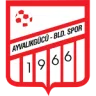 Ayvalıkgücü Belediyespor