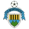 Montañesa