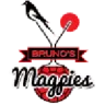 Magpies
