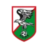 Sokół Kleczew