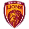 Bulleen Lions