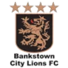 Bankstown City Lions