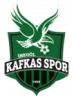 İnegöl Kafkas Gençlik