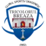 Tricolorul Breaza