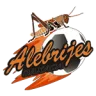 Alebrijes de Oaxaca