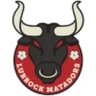 Lubbock Matadors