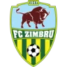 Zimbru II