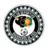 Guerreros