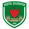 Kestel Çilek