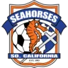 Seahorses