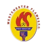 Westchester Flames