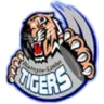 Mighty Tigers