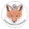 Stade Renard