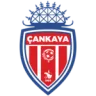 Çankaya FK