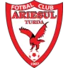 Arieşul Turda
