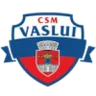 CSM FC Vaslui