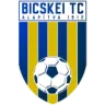 Bicskei