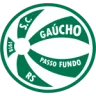 Gaúcho