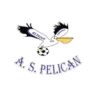 Pélican