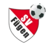 Fügen