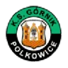 Górnik Polkowice