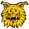 Ilves II