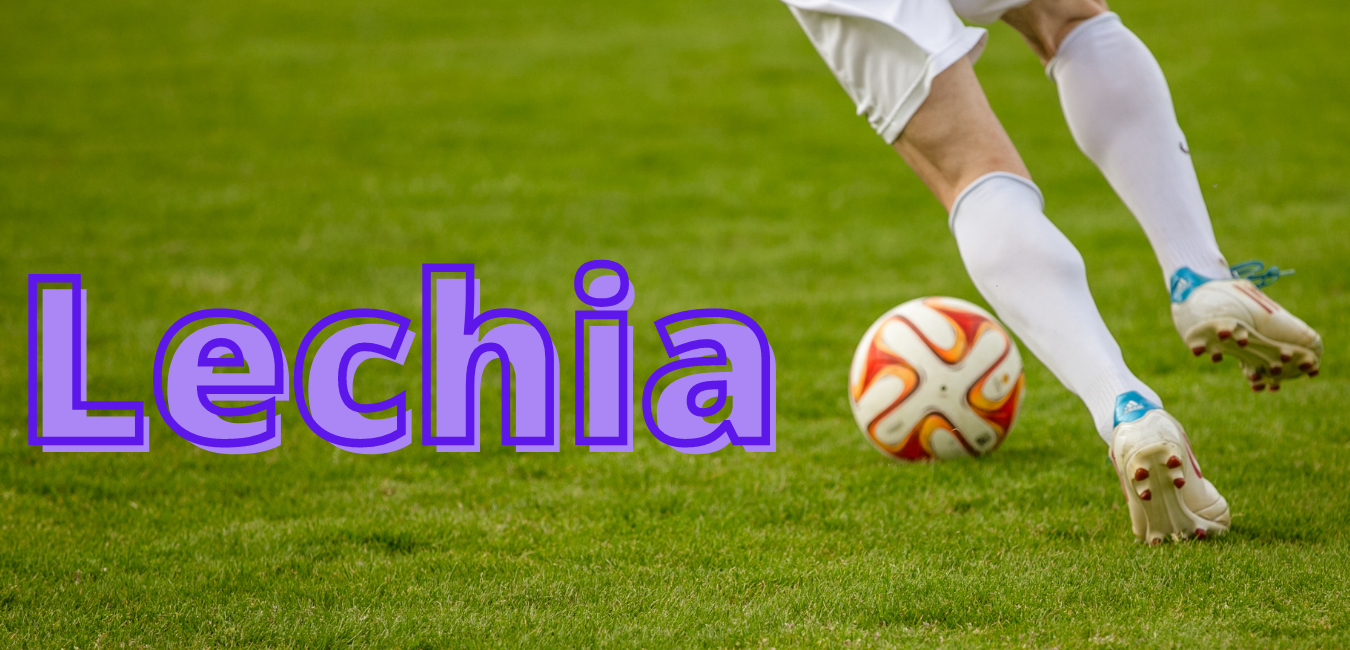 „A to ciekawe”. Ile zespołów o nazwie Lechia występuje w rozgrywkach sezonu 2020/2021?